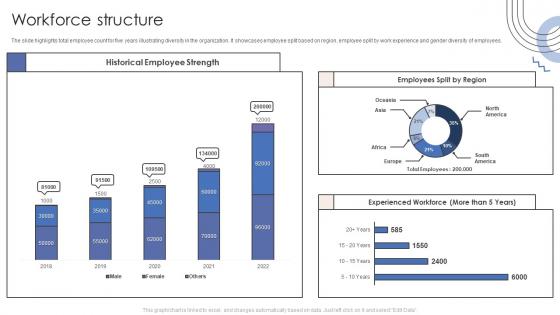 Workforce Structure Software Products And Services Company Profile