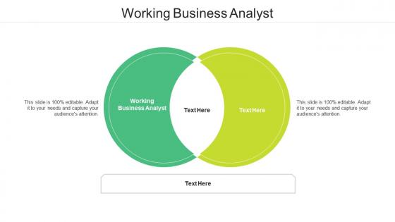 Working business analyst ppt powerpoint presentation styles pictures cpb