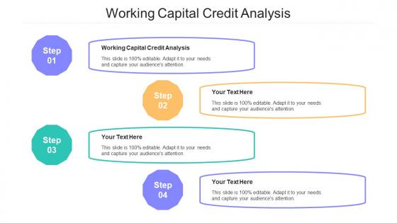 Working Capital Credit Analysis Ppt Powerpoint Presentation Ideas Infographics Cpb