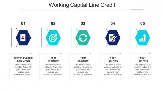 Working Capital Line Credit Ppt Powerpoint Presentation Styles Background Designs Cpb