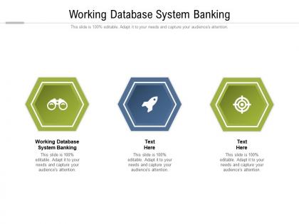 Working database system banking ppt powerpoint presentation professional mockup cpb