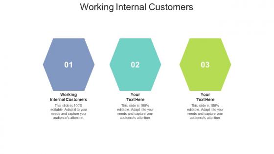 Working internal customers ppt powerpoint presentation show layout ideas cpb