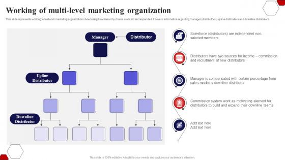 Working Of Multi Level Marketing Organization Implementing Multi Level Marketing Potential Customers MKT SS