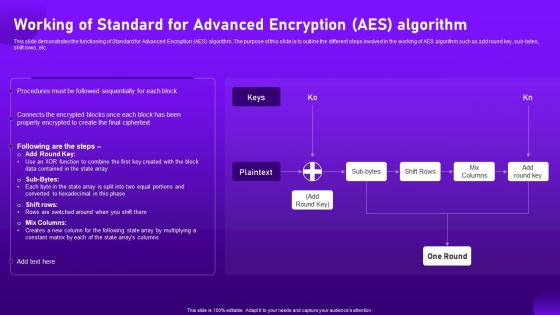Working Of Standard For Advanced Encryption Aes Algorithm Cloud Cryptography