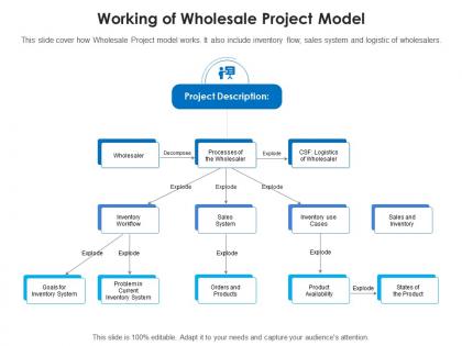 Working of wholesale project model