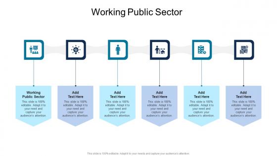 Working Public Sector In Powerpoint And Google Slides Cpb