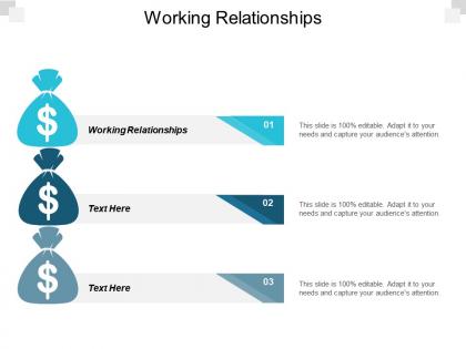 Working relationships ppt powerpoint presentation ideas example cpb