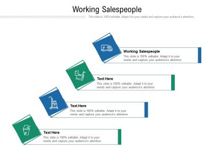 Working salespeople ppt powerpoint presentation inspiration ideas cpb