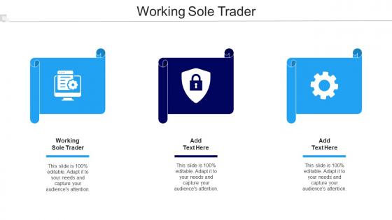 Working Sole Trader Ppt Powerpoint Presentation Visual Aids Example 2015 Cpb