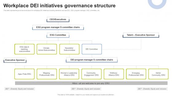Workplace DEI Initiatives Governance Structure