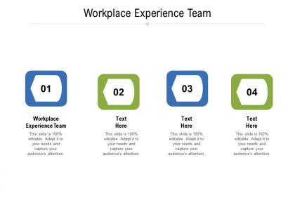 Workplace experience team ppt powerpoint presentation show example cpb