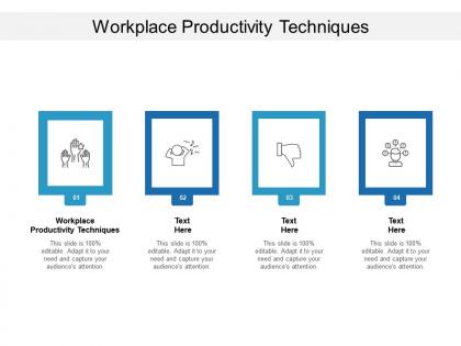 Workplace productivity techniques ppt powerpoint presentation infographic template show cpb