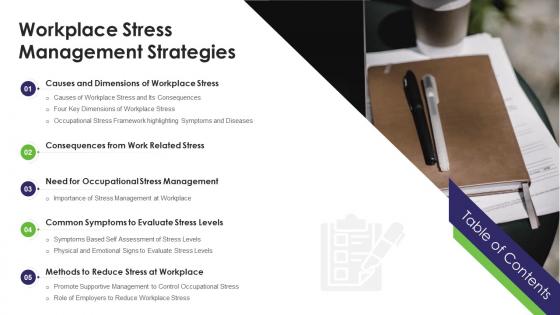 Workplace Stress Management Strategies Causes Ppt Slides