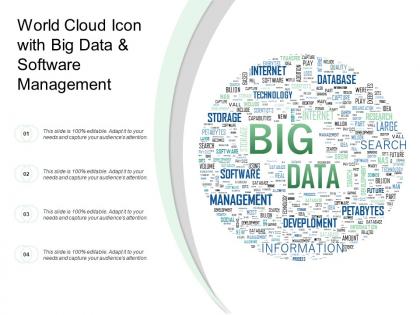 World cloud icon with big data and software management