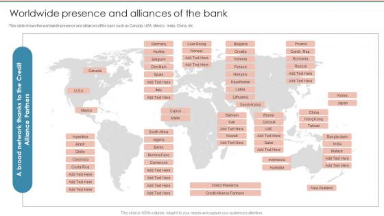 Worldwide Presence And Alliances Of The Bank Credit Risk Management Frameworks