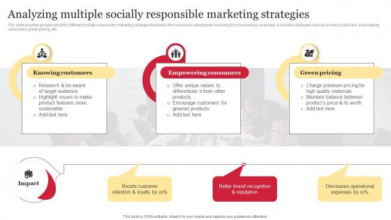 Y90 Analyzing Multiple Socially Responsible Marketing Strategies Comprehensive Guide To Holistic MKT SS V
