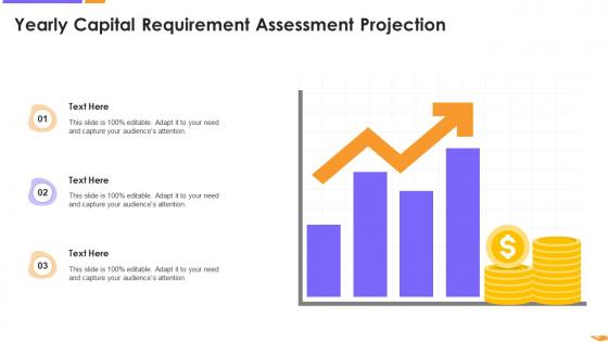 Yearly Capital Requirement Assessment Projection