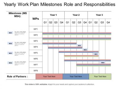 Yearly work plan milestones role and responsibilities