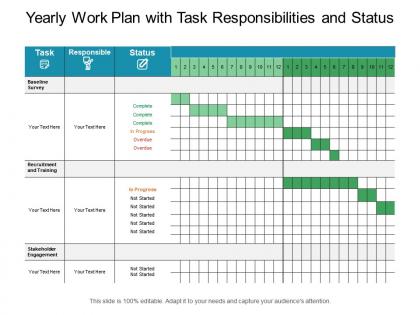 Yearly work plan with task responsibilities and status