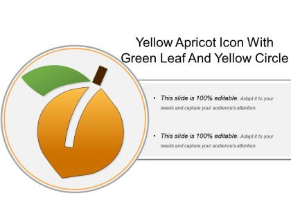 Yellow apricot icon with green leaf and yellow circle