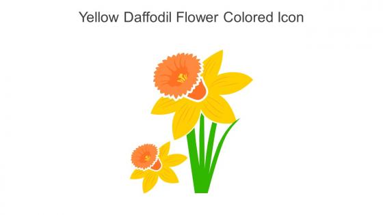 Yellow Daffodil Flower Colored Icon In Powerpoint Pptx Png And Editable Eps Format