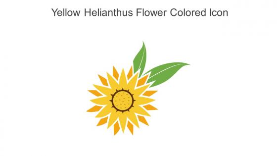 Yellow Helianthus Flower Colored Icon In Powerpoint Pptx Png And Editable Eps Format