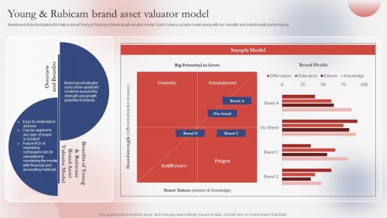 Young And Rubicam Brand Asset Valuator Guide For Successfully Understanding Branding SS