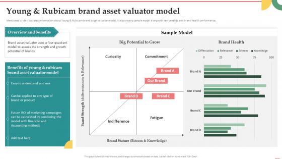 Young And Rubicam Brand Asset Valuator Model