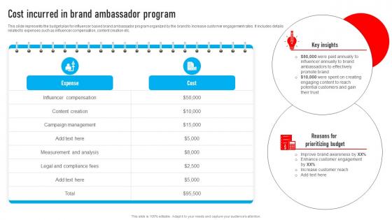 Youtube Influencer Marketing Cost Incurred In Brand Ambassador Program Strategy SS V