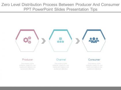 Zero level distribution process between producer and consumer ppt powerpoint slides presentation tips