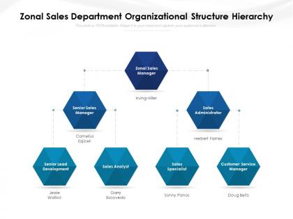 Zonal sales department organizational structure hierarchy