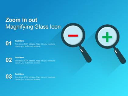 Zoom in out magnifying glass icon