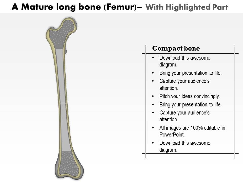 0514 A Mature Long Bone Medical Images For Powerpoint Powerpoint Templates Download Ppt Background Template Graphics Presentation
