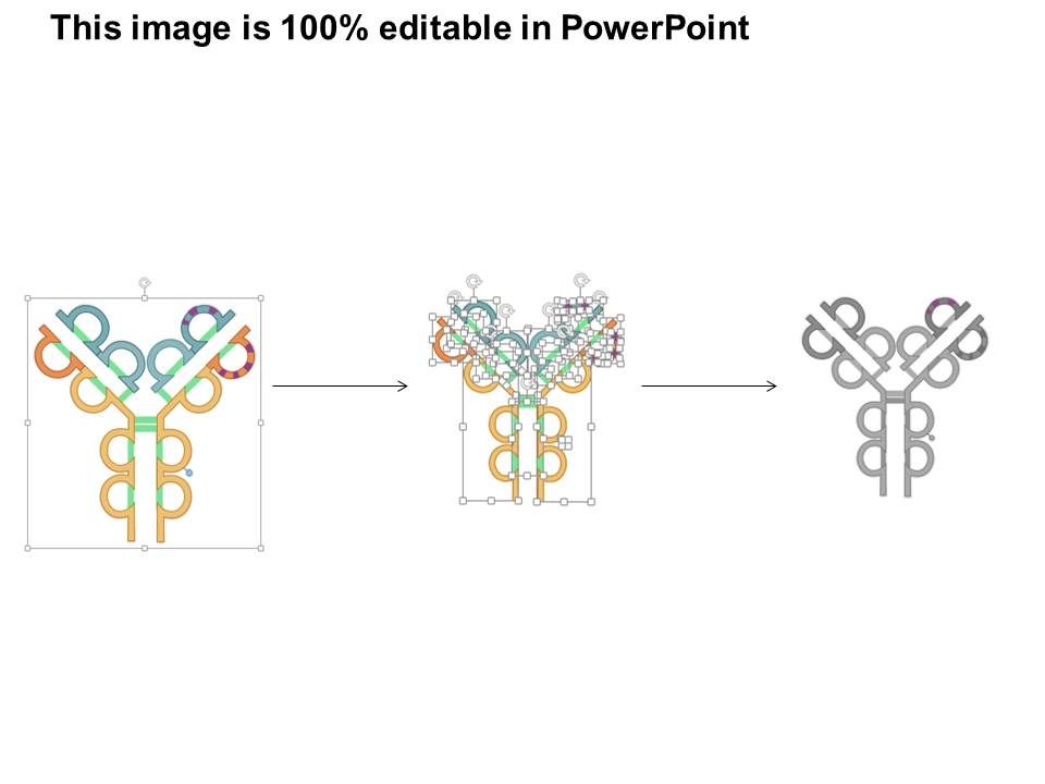 antibody-powerpoint-template-free-download-printable-templates
