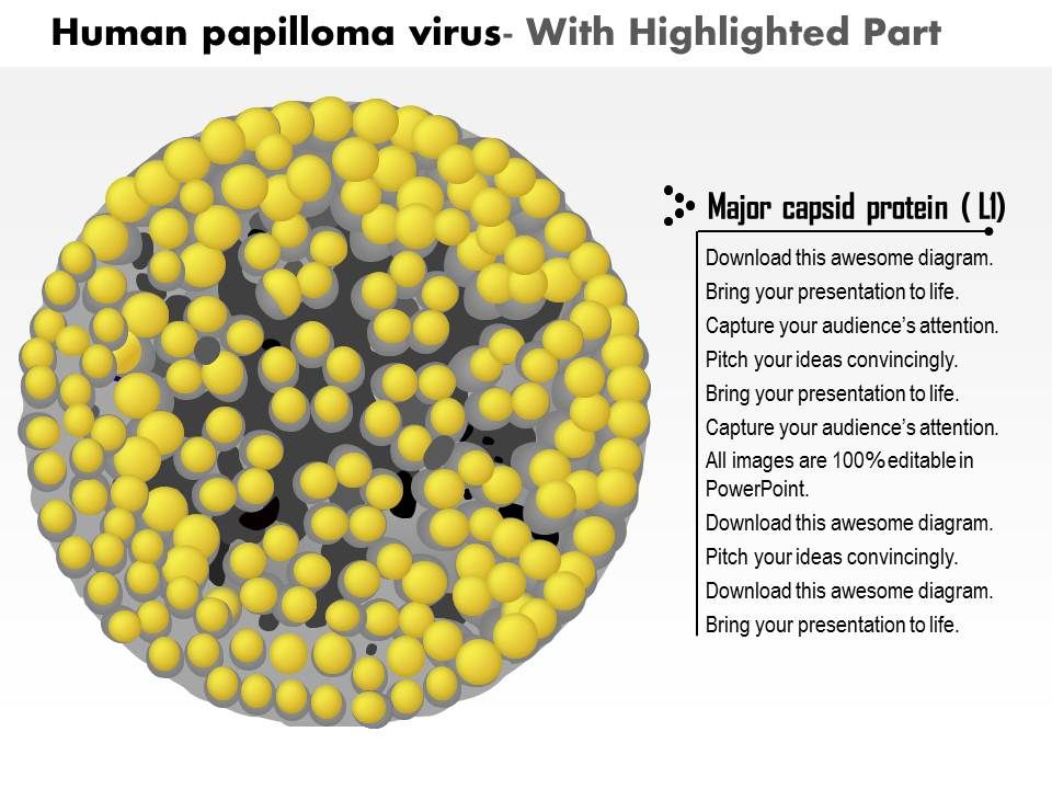 Humán papillomavírus hpv ppt