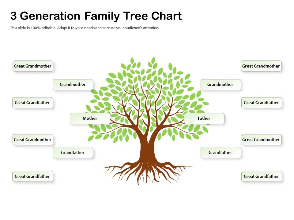 free-printable-3-generation-family-tree-template-free-printable-templates