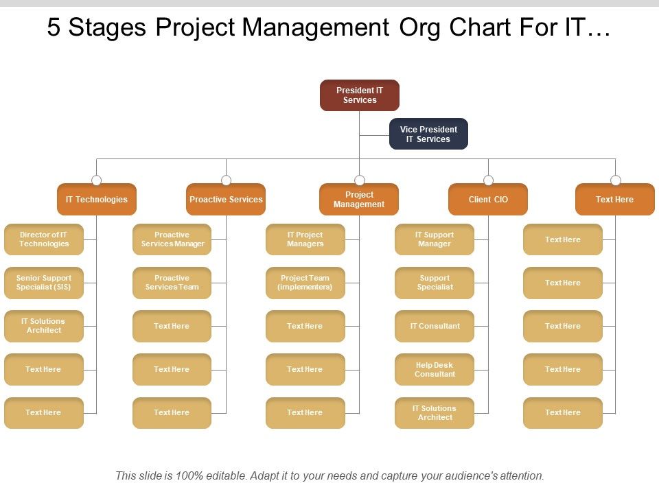 Project Management Organizational Chart Template