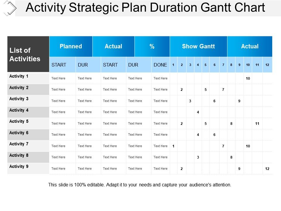 Gantt Chart Action Plan