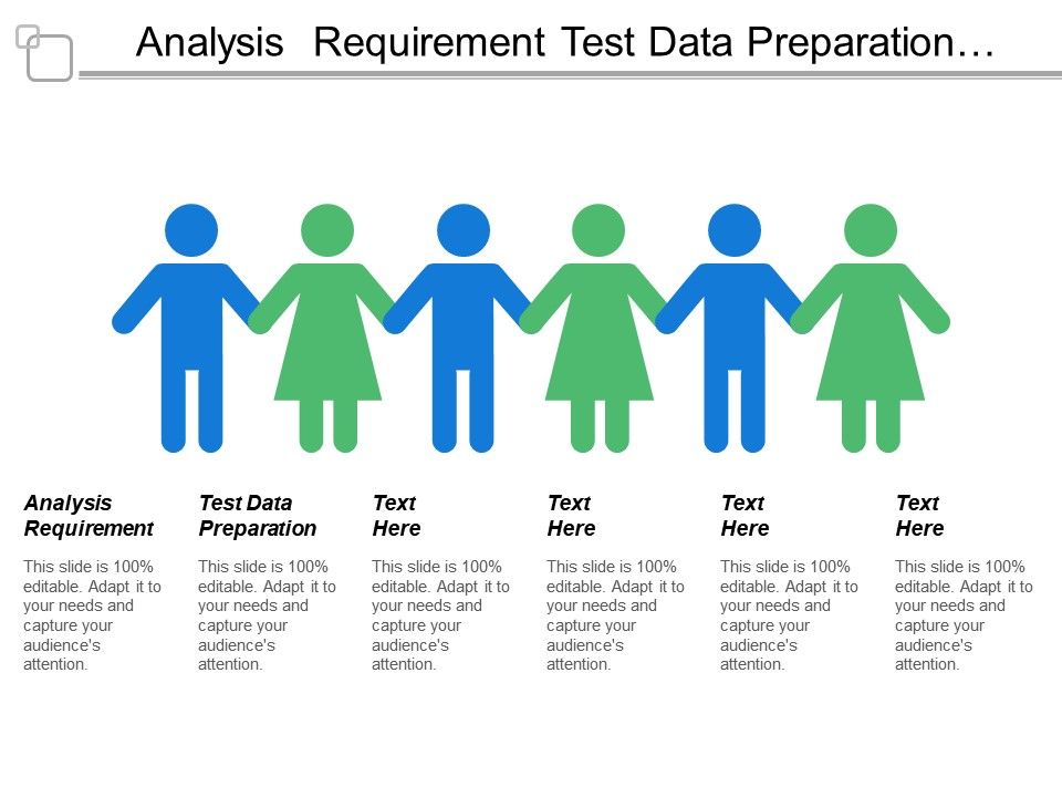 Analysis Requirement Test Data Preparation Functional Level Analysis
