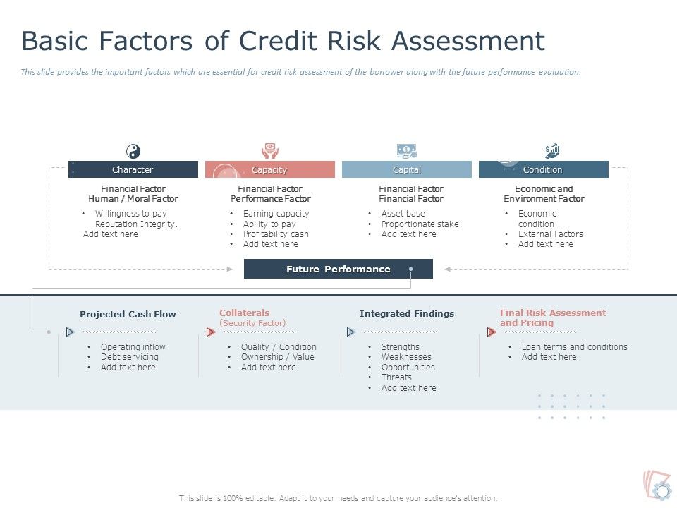 Basic Factors Of Credit Risk Assessment Ppt Powerpoint Presentation Ideas Slide Presentation Graphics Presentation Powerpoint Example Slide Templates