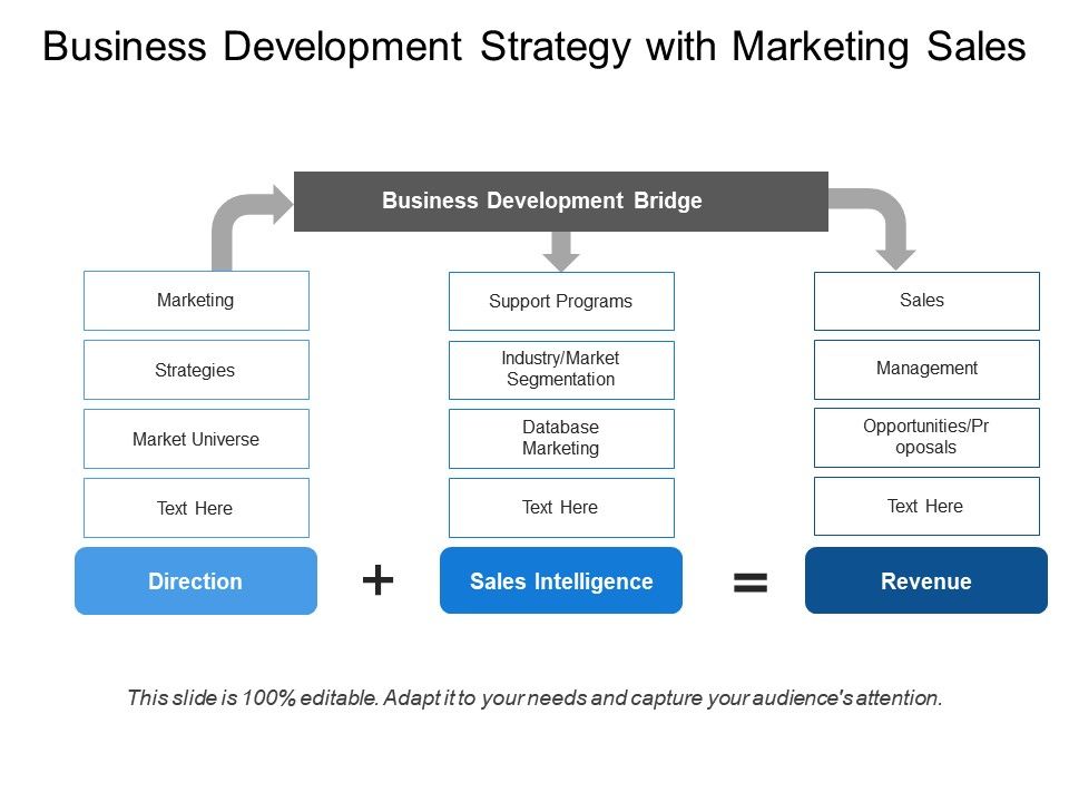business development sales strategy