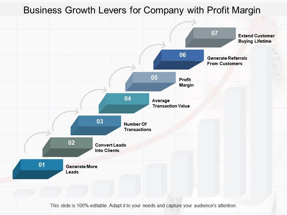 Business Growth Levers For Company With Profit Margin PowerPoint