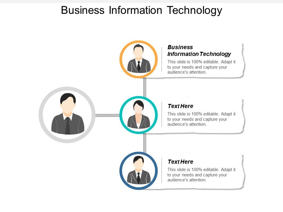 Business Information Technology Ppt Powerpoint Presentation Layouts