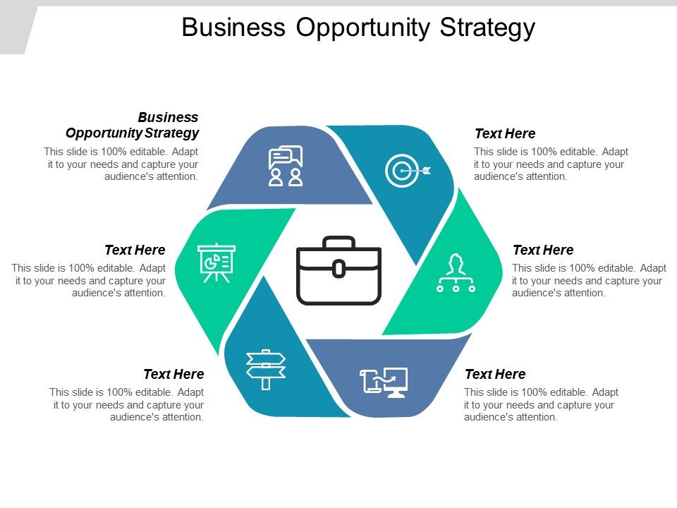 what is business opportunity presentation