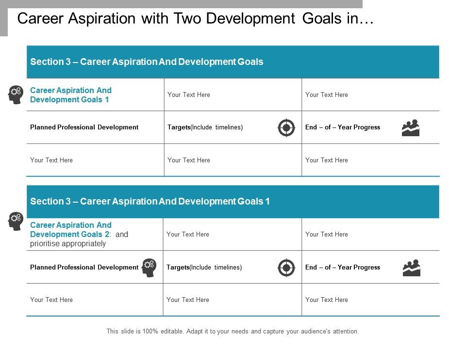 Career Aspiration With Two Development Goals In Performance Plan