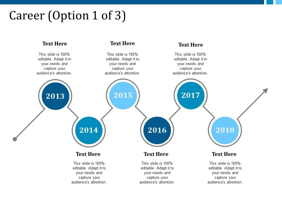 career timeline example presentation about yourself ppt sample of a timeline