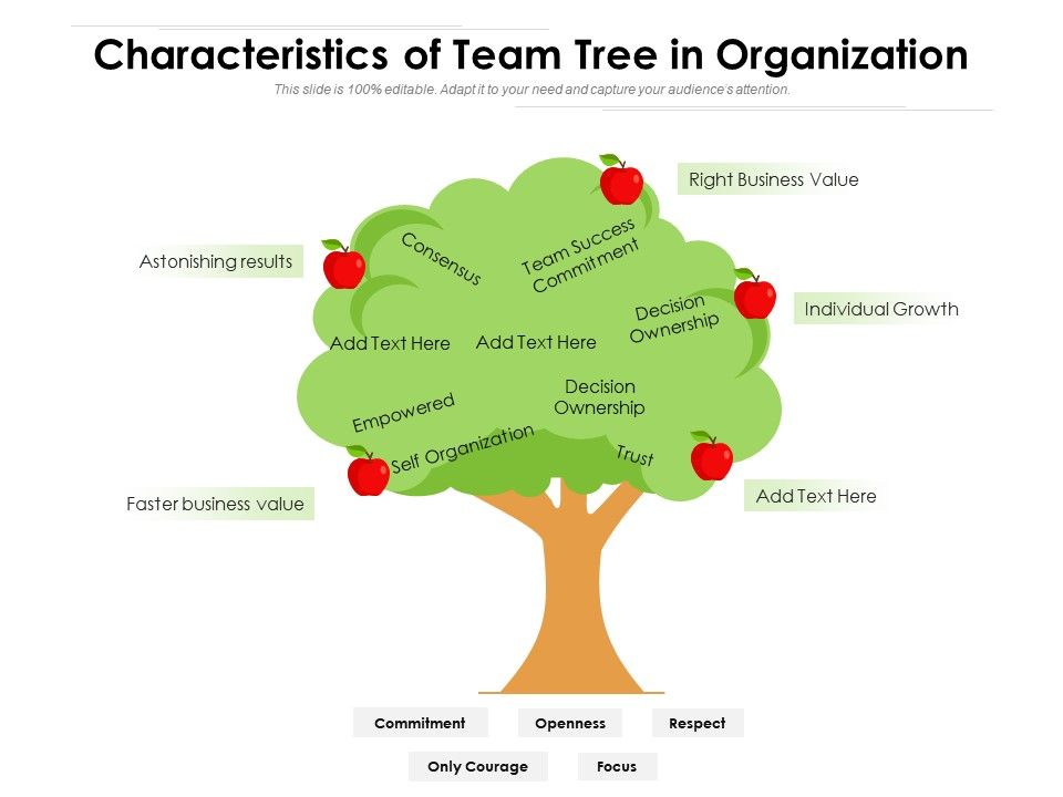 Characteristics Of Team Tree In Organization Presentation Graphics Presentation PowerPoint