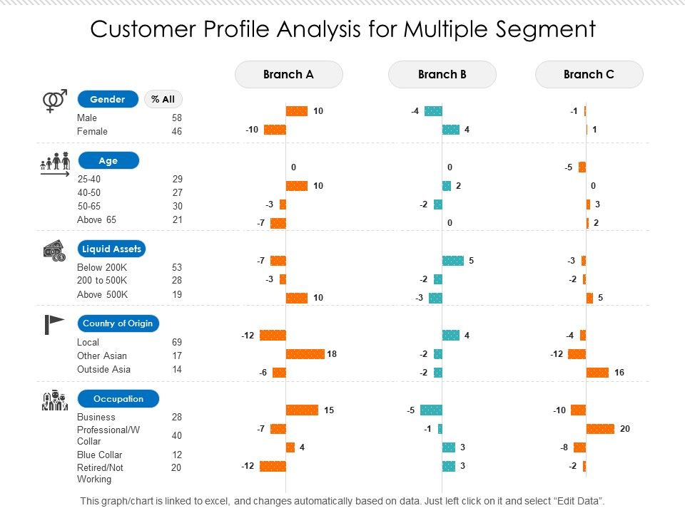 Customer Profile Analysis For Multiple Segment Presentation Graphics