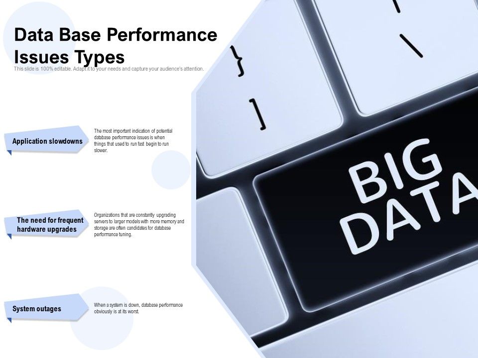 Data Base Performance Issues Types PowerPoint Slides Diagrams
