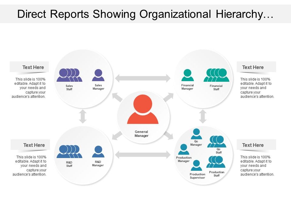 Direct Reports Showing Organizational Hierarchy With Various